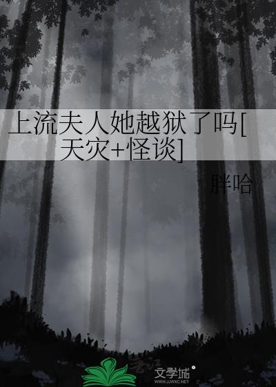 上流人士小说