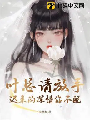 叶总离婚请别怂书评