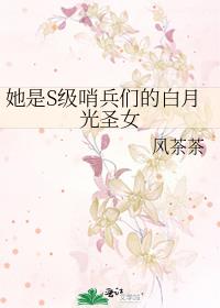 她是s级哨兵们的白月光圣女晋江